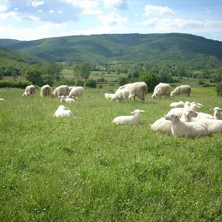 Agriturismo Villa Martis Пасиняно сул Тразимено Екстериор снимка